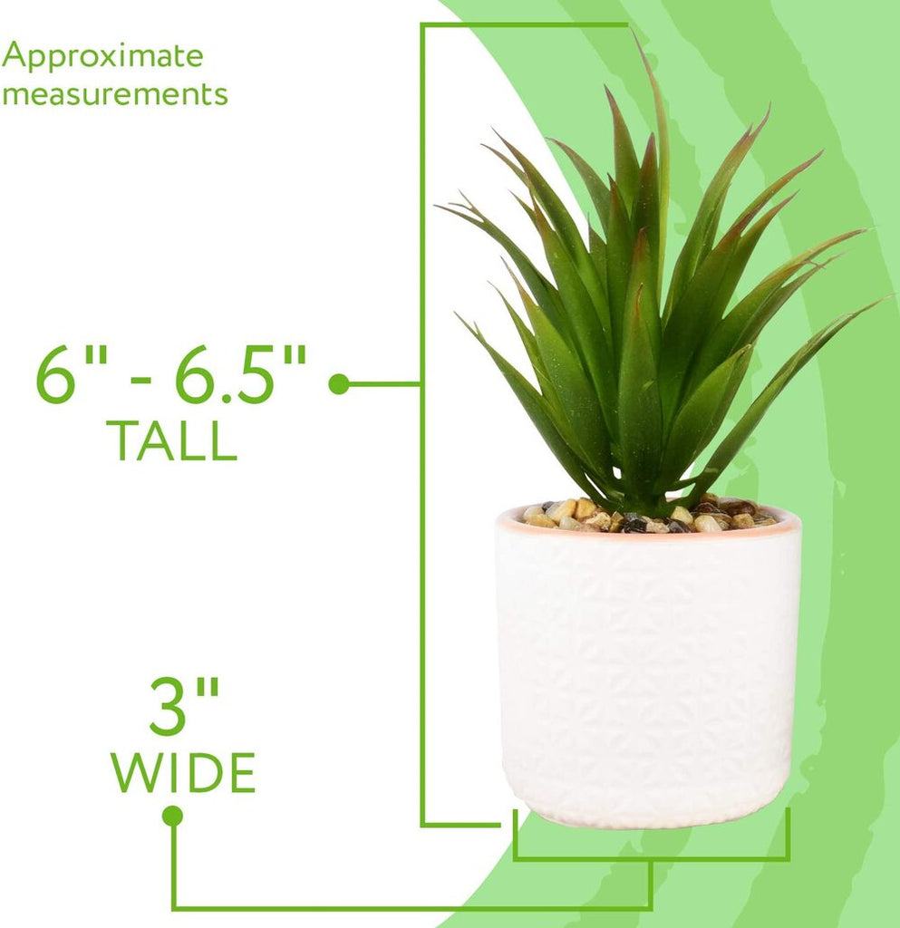 IMPRESA Set of 2 Artificial Succulent Plants, Fake Plants in White Ceramic Pots with Bamboo Tray, 6.5” Tall