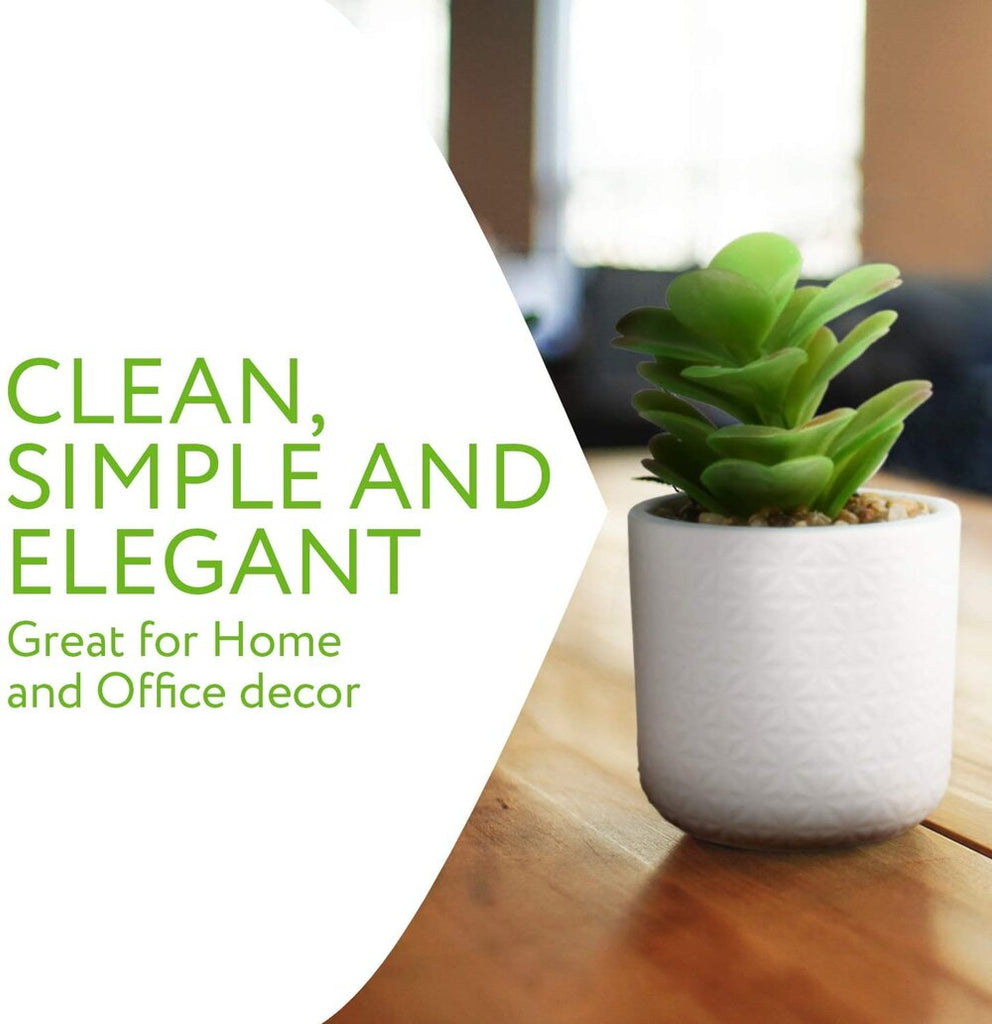 IMPRESA Set of 2 Artificial Succulent Plants, Fake Plants in White Ceramic Pots with Bamboo Tray, 6.5” Tall
