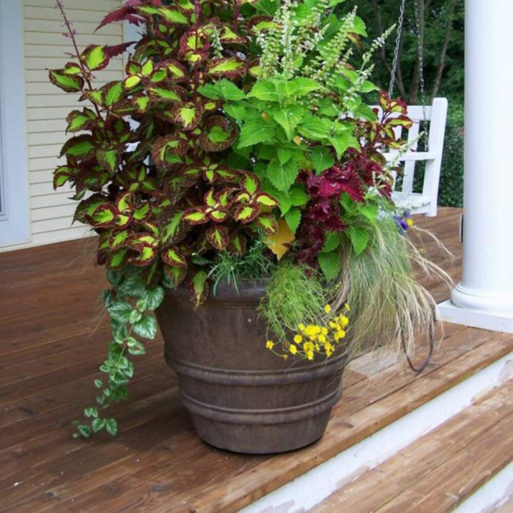 40 Pack Standard Size Pot Feet for Outdoor Planters - Invisible Plant Risers for Small and Medium Sized Heavy Pots - 3/4" Elevators - Work Great On Patio and Deck Use - Made in USA