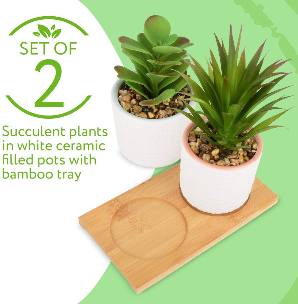 IMPRESA Set of 2 Artificial Succulent Plants, Fake Plants in White Ceramic Pots with Bamboo Tray, 6.5” Tall