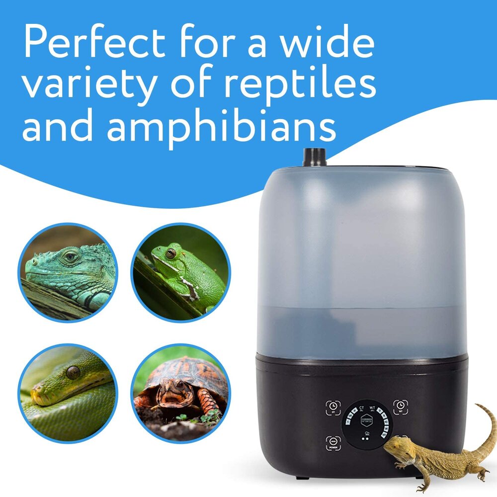 Best reptile humidifier best sale