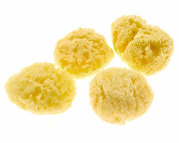 4-Pack of Natural Hermit Crab Sea Sponges - Safer Drinking, Nutrients, Humidity
